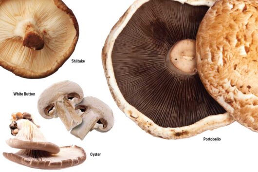 Healthy Mushrooms Mean Growing Demand