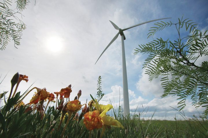 Saving Birds, Loving Snakes