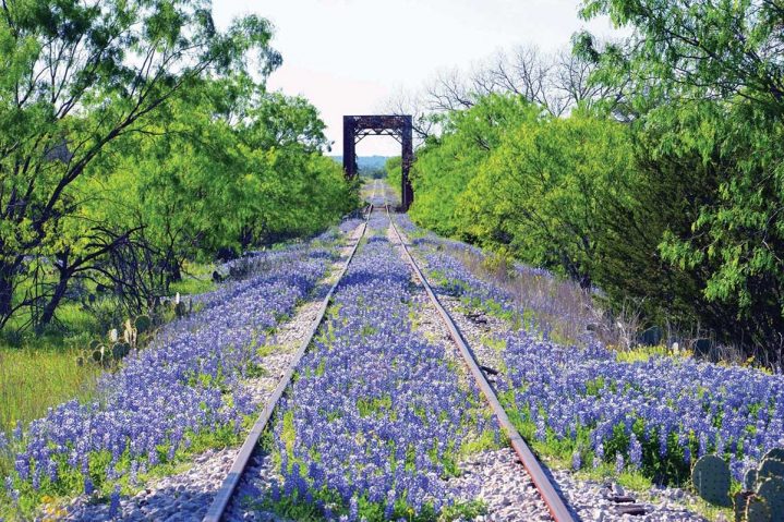 Focus on Texas: Bridges