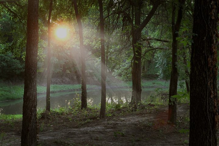 January 2021 Web Extras