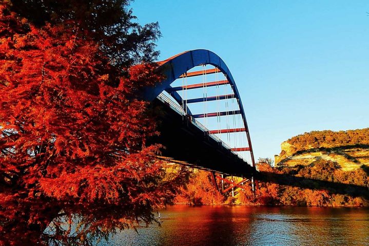 December 2021 Web Extras