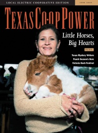 June 2004 Issue of Texas Coop Power
