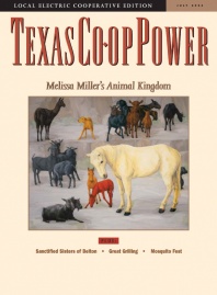July 2004 Issue of Texas Coop Power