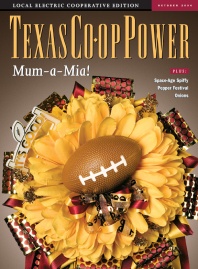 October 2004 Issue of Texas Coop Power