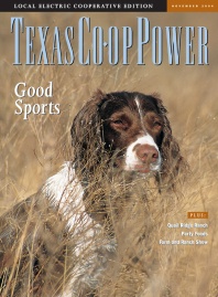 November 2004 Issue of Texas Coop Power
