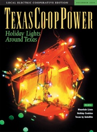 December 2004 Issue of Texas Coop Power