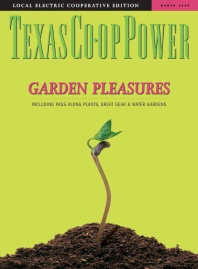 March 2005 Issue of Texas Coop Power