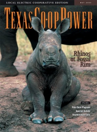 May 2005 Issue of Texas Coop Power