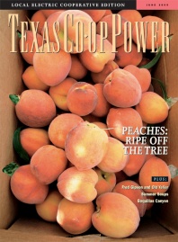 June 2005 Issue of Texas Coop Power