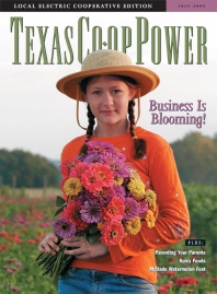 July 2005 Issue of Texas Coop Power