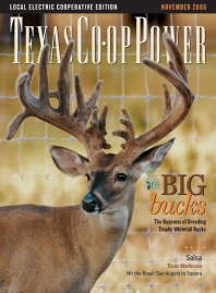 November 2006 Issue of Texas Coop Power