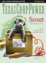 December 2006 Issue of Texas Coop Power