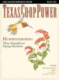 March 2007 Issue of Texas Coop Power