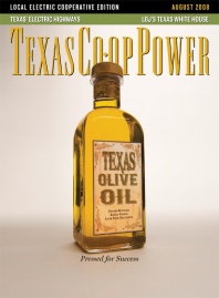 August 2008 Issue of Texas Coop Power