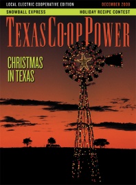 December 2008 Issue of Texas Coop Power