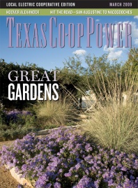 March 2009 Issue of Texas Coop Power