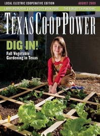 August 2009 Issue of Texas Coop Power
