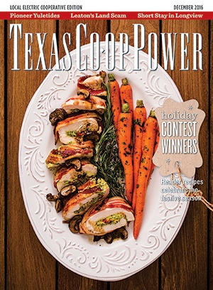 December 2016 Issue of Texas Coop Power