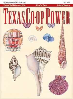 May 2017 Issue of Texas Coop Power
