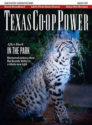 August 2017 Issue of Texas Coop Power