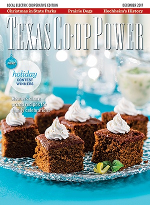 December 2017 Issue of Texas Coop Power
