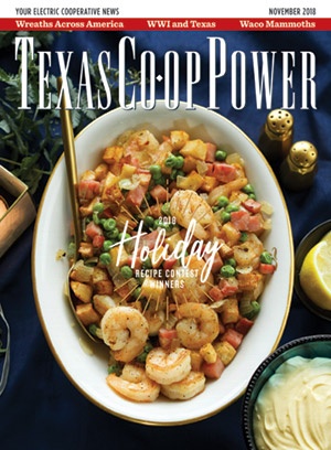 November 2018 Issue of Texas Coop Power