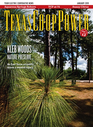 January 2019 Issue of Texas Coop Power