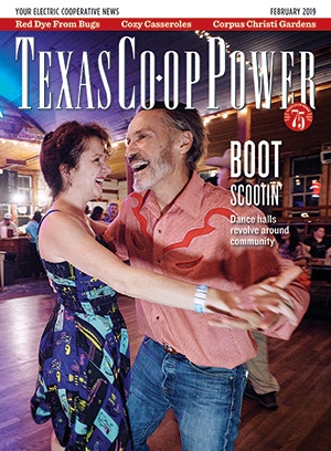 February 2019 Issue of Texas Coop Power