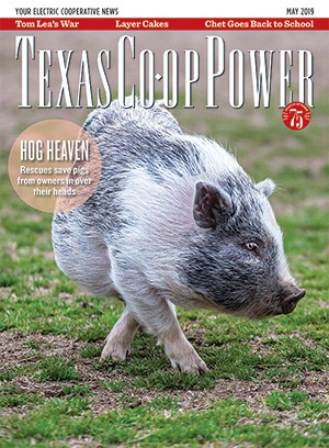 May 2019 Issue of Texas Coop Power