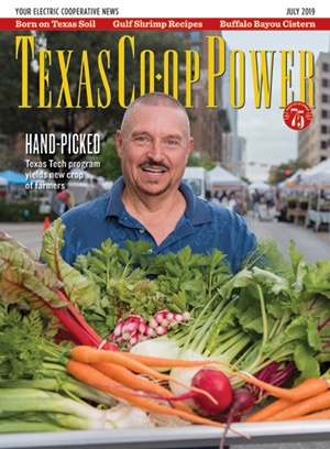 July 2019 Issue of Texas Coop Power