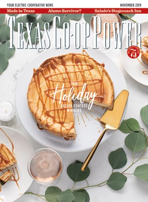 November 2019 Issue of Texas Coop Power