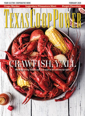 February 2020 Issue of Texas Coop Power