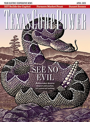April 2020 Issue of Texas Coop Power