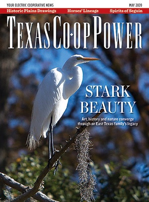 May 2020 Issue of Texas Coop Power