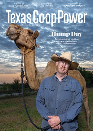 February 2021 Issue of Texas Coop Power