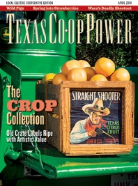 April 2014 Issue of Texas Coop Power