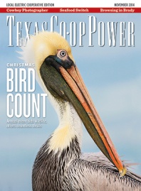 November 2014 Issue of Texas Coop Power