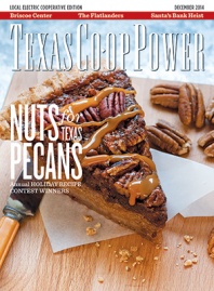 December 2014 Issue of Texas Coop Power