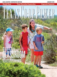 January 2015 Issue of Texas Coop Power