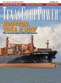 November 2013 Issue of Texas Coop Power