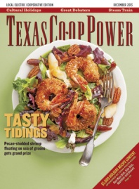 December 2013 Issue of Texas Coop Power