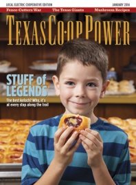 January 2014 Issue of Texas Coop Power