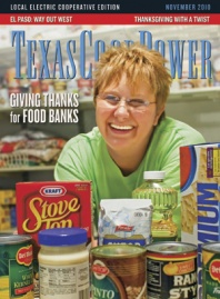 November 2010 Issue of Texas Coop Power