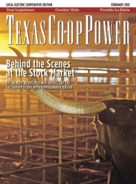 February 2013 Issue of Texas Coop Power