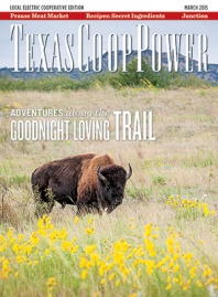 March 2015 Issue of Texas Coop Power