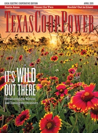 April 2015 Issue of Texas Coop Power