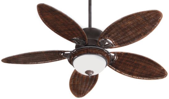 Stay Cool with the Right Fan