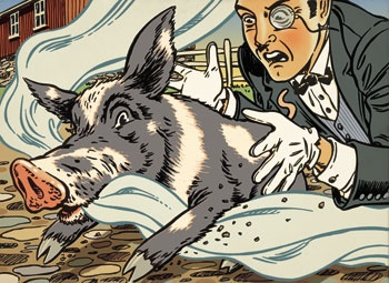 Alphonse and the Pig War
