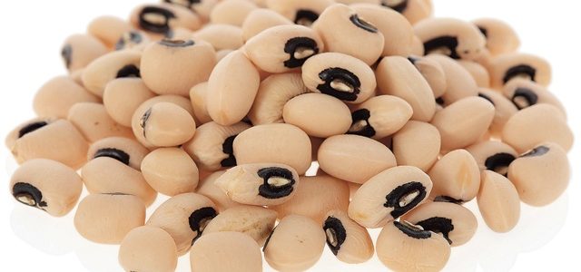 © José Elias | BigStock.com