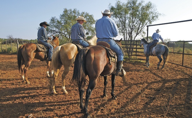 Cowboy Hatters  Texas Co-op Power